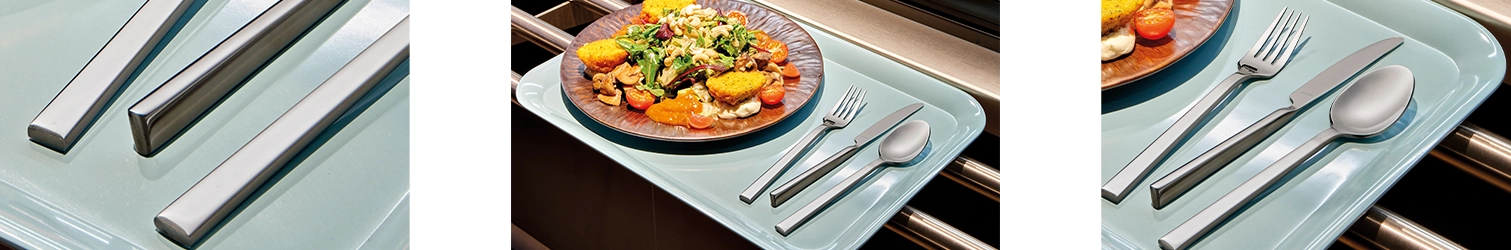 Amefa Amazon Impression