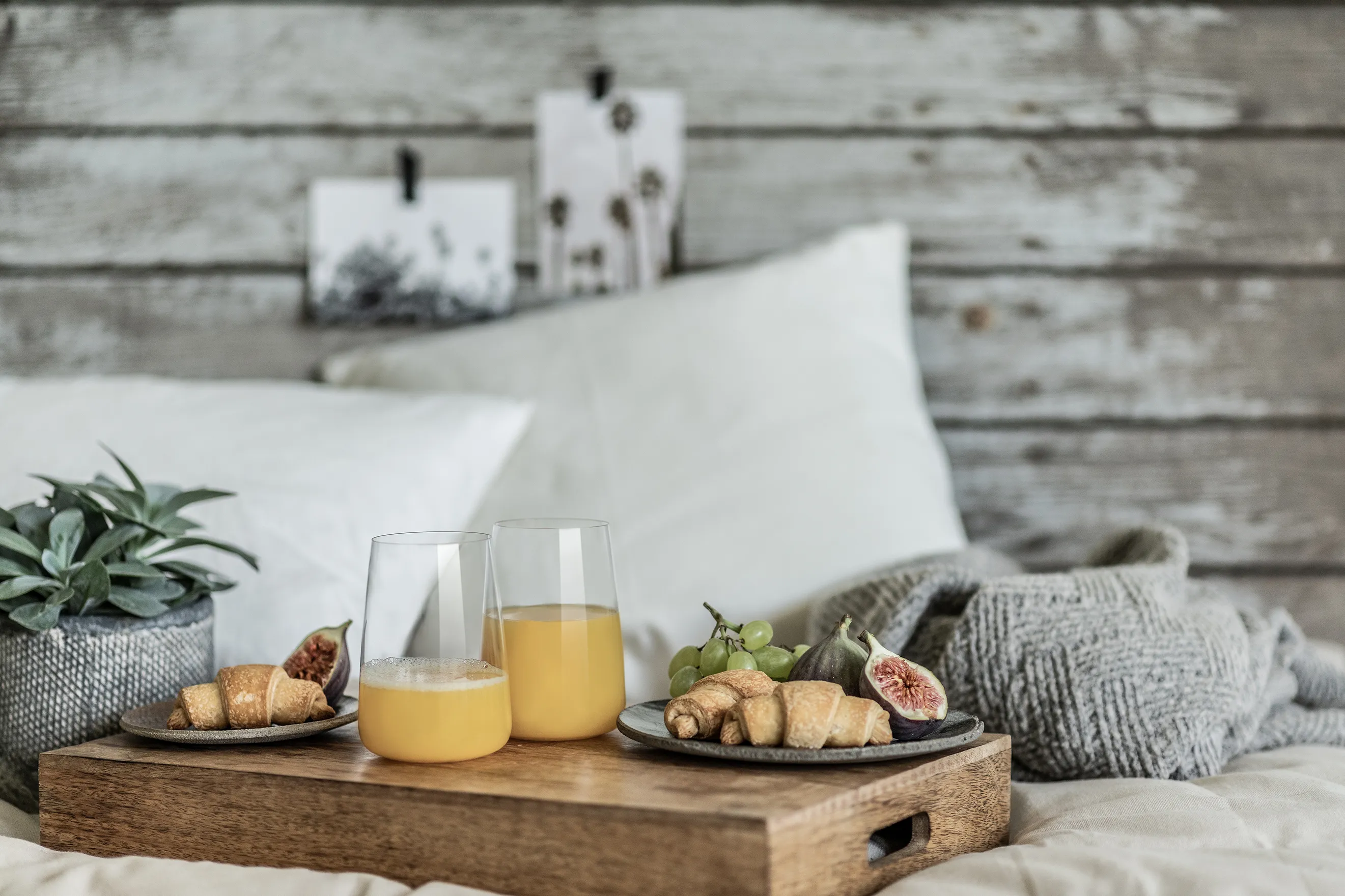  Zwiesel Glas Sensa impression 10  