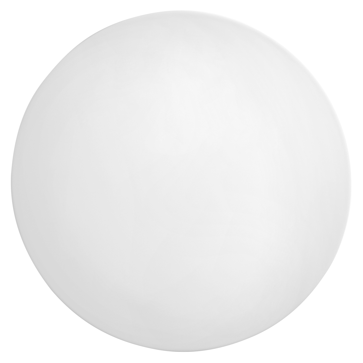  Seltmann 001.729476 Platzteller  