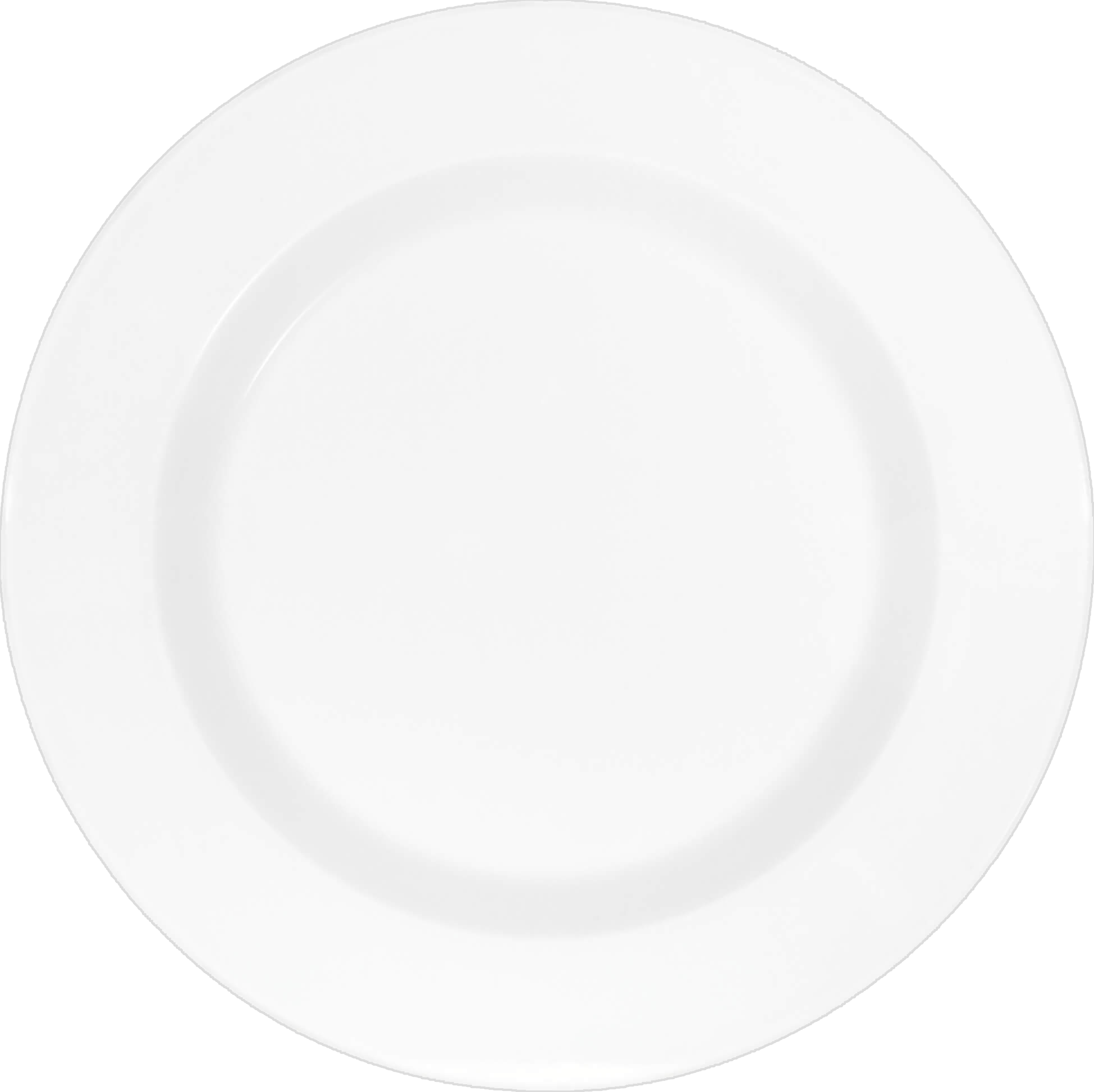 Schoenwald 9400016 Teller Flach Fahne, Kunst, Porzellan, Töpferei, Teller